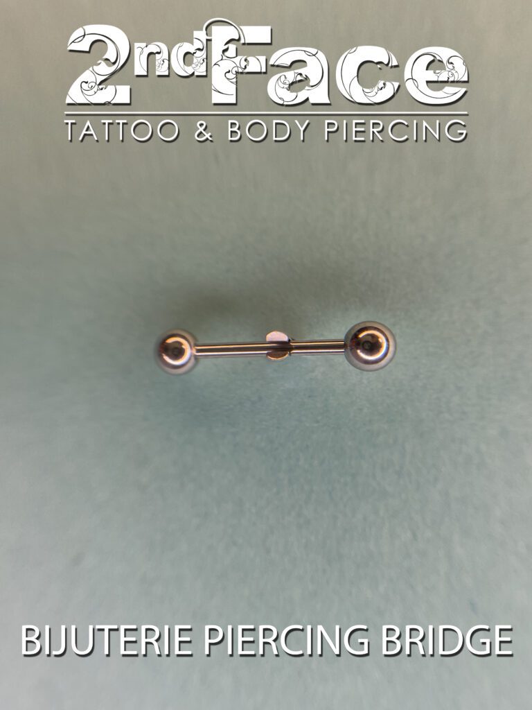 cercel-piercing-bridge